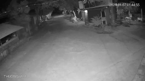 Caméra IP - Vietnam