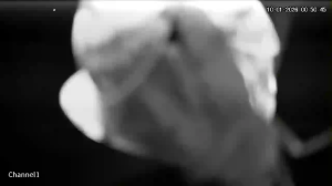 Caméra IP - Mexique