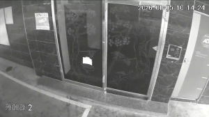 Caméra IP - South Korea