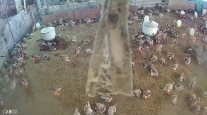 Caméra IP - Vietnam