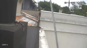 Caméra IP - Brasilien