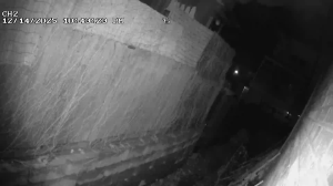 Caméra IP - South Korea