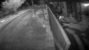 Caméra IP - Ucrania