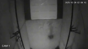 Caméra IP - Argentina