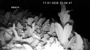 Caméra IP - Portugal