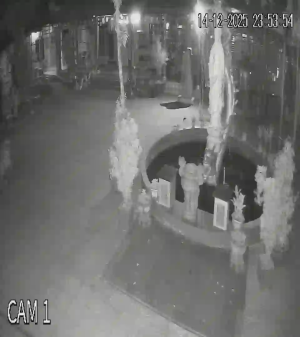 Caméra IP - Vietnam