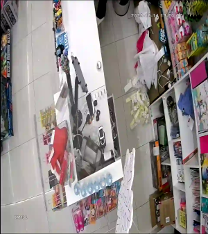 Caméra IP - Russische Föderation