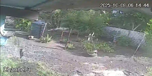 Caméra IP - Trinidad und Tobago