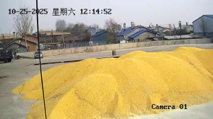 Caméra IP - Chine