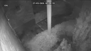 Caméra IP - Niederlande