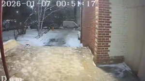 Caméra IP - Russian Federation