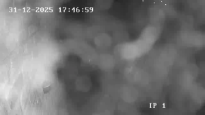 Caméra IP - Belgium