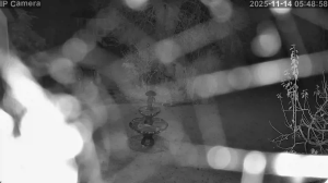 Caméra IP - Allemagne