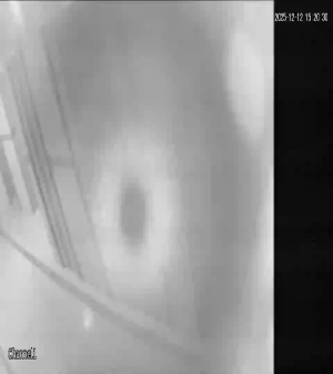 Caméra IP - United Arab Emirates