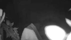 Caméra IP - Frankreich