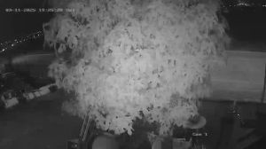 Caméra IP - Portugal