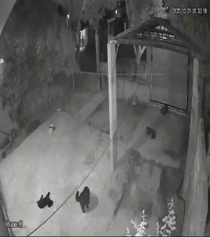 Caméra IP - Argentine