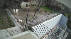 Caméra IP - Italien