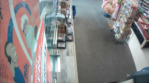 Caméra IP - United States of America