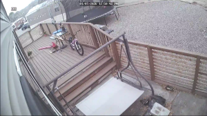 Caméra IP - États-Unis d'Amérique