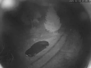 Caméra IP - Polonia