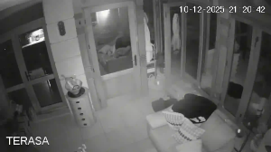 Caméra IP - Romania