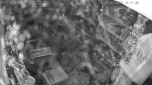 Caméra IP - Bulgarie