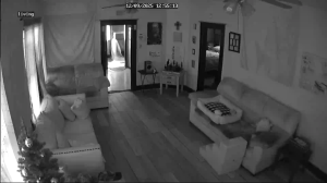 Caméra IP - États-Unis d'Amérique