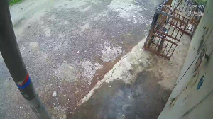 Caméra IP - Malaisie