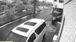 Caméra IP - Giappone