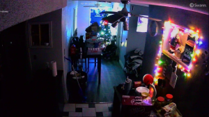 Caméra IP - Vereinigte Staaten von Amerika