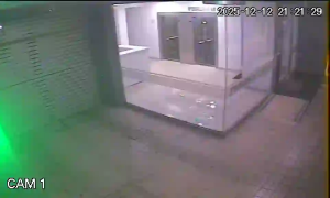 Caméra IP - Argentine