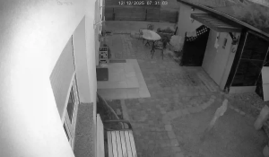 Caméra IP - Germany