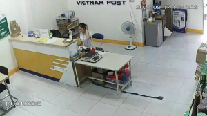 Caméra IP - Vietnam