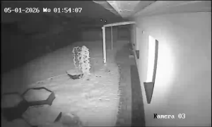 Caméra IP - Deutschland