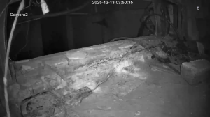 Caméra IP - Corée du Sud