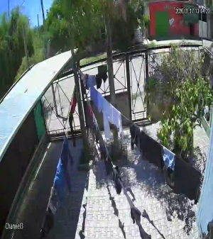 Caméra IP - Argentinien