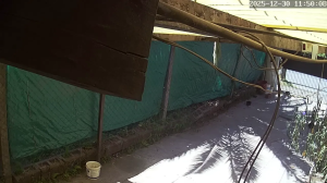 Caméra IP - Argentina