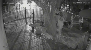 Caméra IP - Brésil