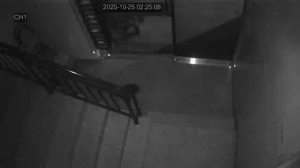 Caméra IP - South Korea