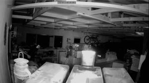 Caméra IP - Nueva Zelanda