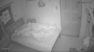 Caméra IP - Corea del Sud