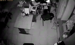 Caméra IP - Russian Federation