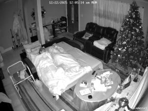 Caméra IP - Stati Uniti d'America