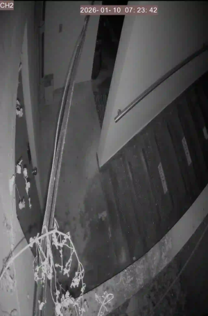 Caméra IP - South Korea