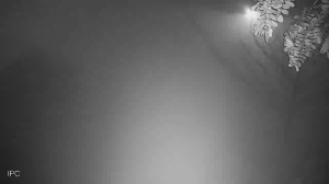 Caméra IP - Pakistan