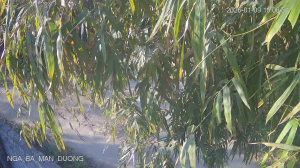 Caméra IP - Vietnam