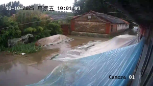 Caméra IP - China