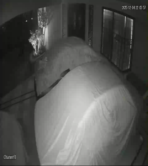 Caméra IP - Pakistan