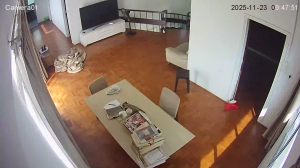 Caméra IP - Singapour